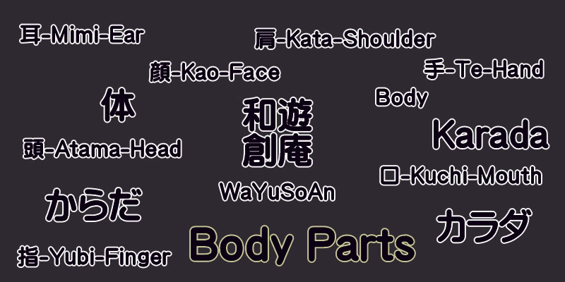 Japanese Words - Body Parts
