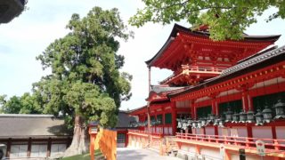 Chumon - Donated Hanging Lantern