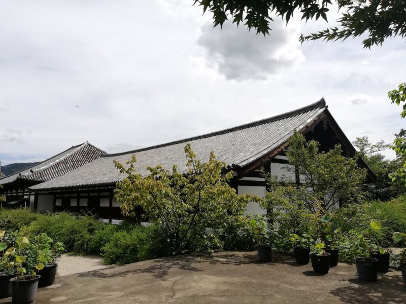 Gangoji Zen Room